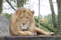 Ausflug zum Tierpark Thüle